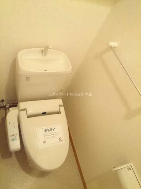 Gold M Kamo その他2