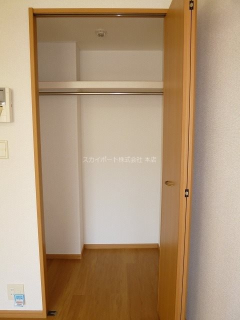 Gold M Kamo その他4