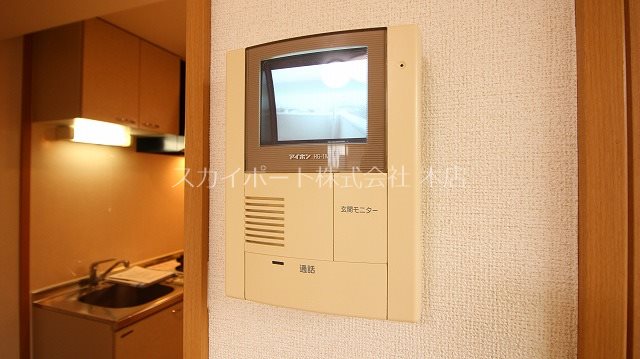Gold M Kamo その他5