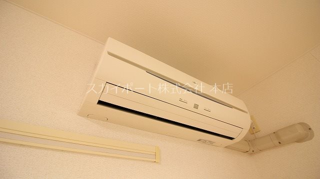 Gold M Kamo その他6