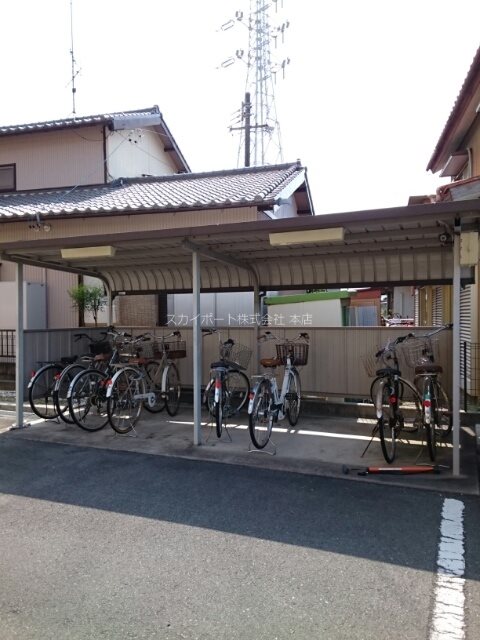 Gold M Kamo その他7
