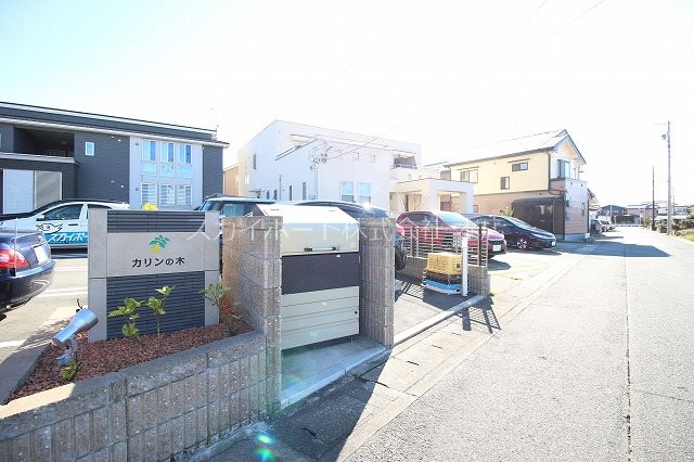 カリンの木 その他9