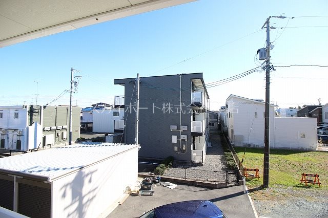 カリンの木 その他13
