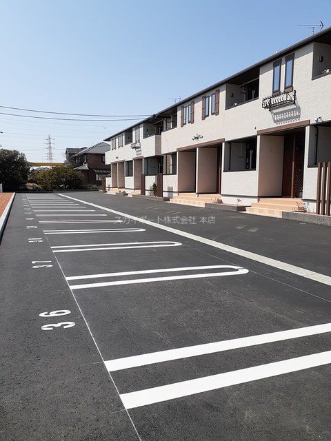 アイリス初生　C その他1