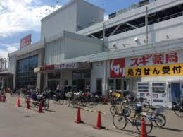大仙パークハウス ドラッグストア