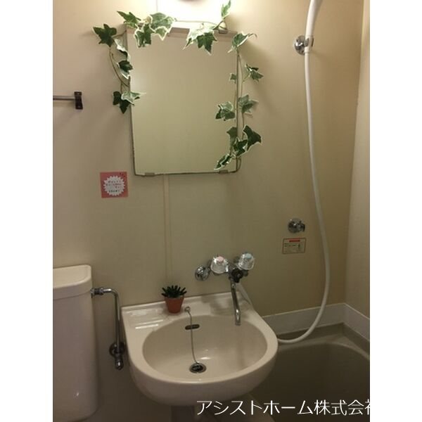 ゴールドクレスト   洗面所