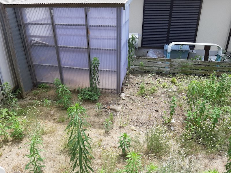 和気町4丁目一戸建て 庭