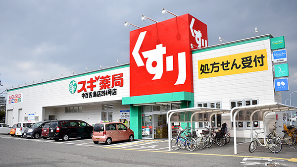 金岡町一戸建て(柴垣邸) ドラッグストア
