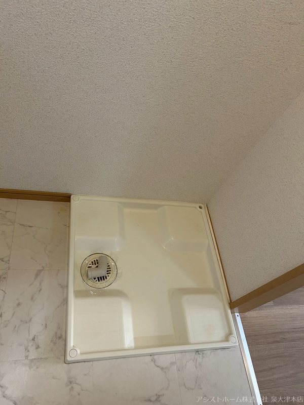 ヴェルドミール その他