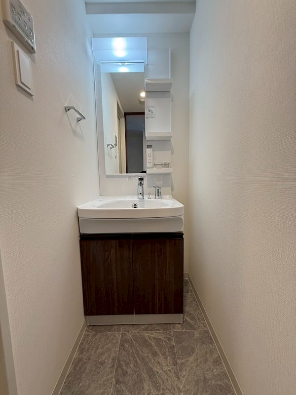 S-RESIDENCE堺blaze 洗面所