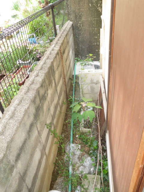 奥野テラス  庭