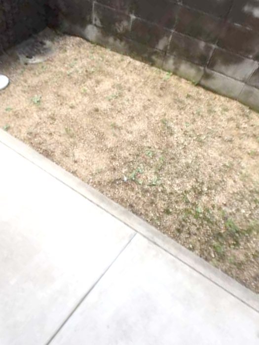 プロスパー　リヨA棟 ベランダ