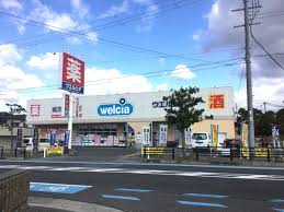 ファブ―ル東羽衣 ドラッグストア