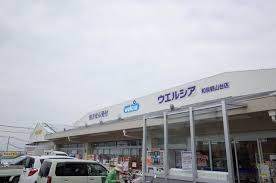 和泉市上代町戸建て ドラッグストア