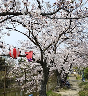和泉市王子町　戸建 公園