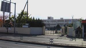 TIMBER BROOK 小学校