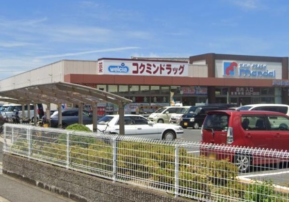 ロイヤルコーポ忠岡 ドラッグストア
