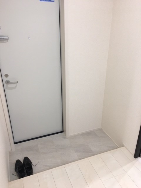 フジパレス湊Ⅱ番館  玄関