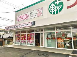 富秋町2-14-14テラスハウス ドラッグストア