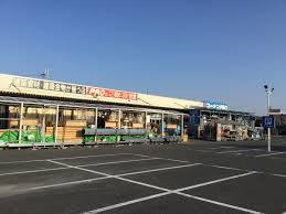 START泉大津豊中 ホームセンター