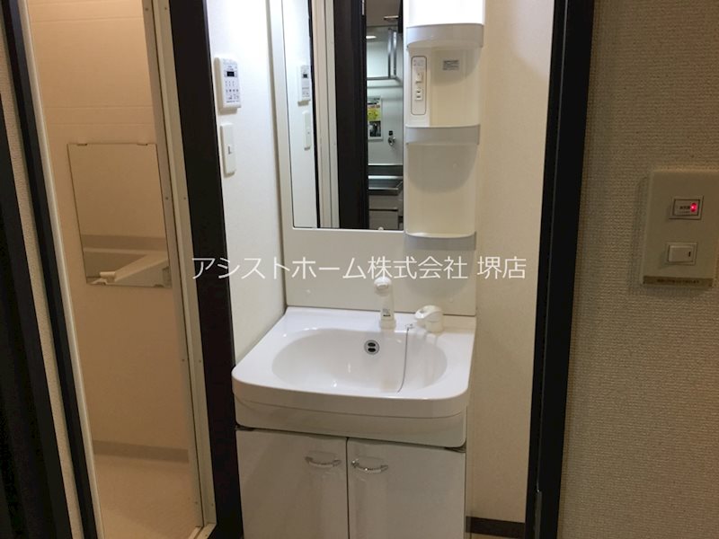 フジパレス愛泉 洗面所