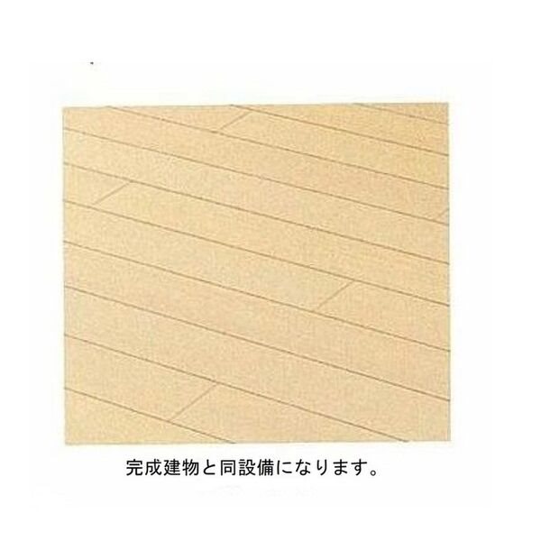 ヒカルサ泉大津条南町 その他