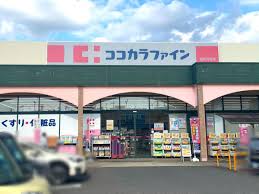 小林マンション ドラッグストア