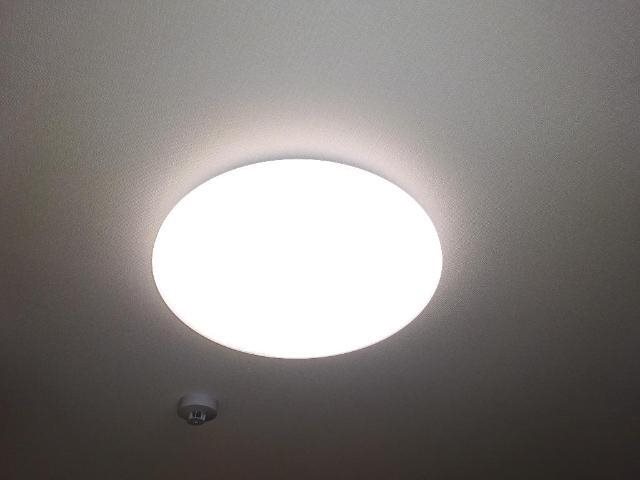 エクセレンス その他