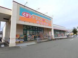 フジパレス東三国ヶ丘WEST ドラッグストア