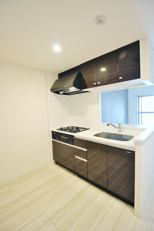 グランシャリオ武蔵小杉 キッチン