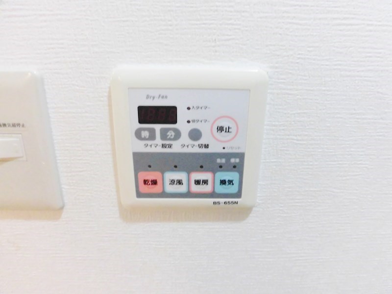 ｳﾞｨﾗさくら その他3
