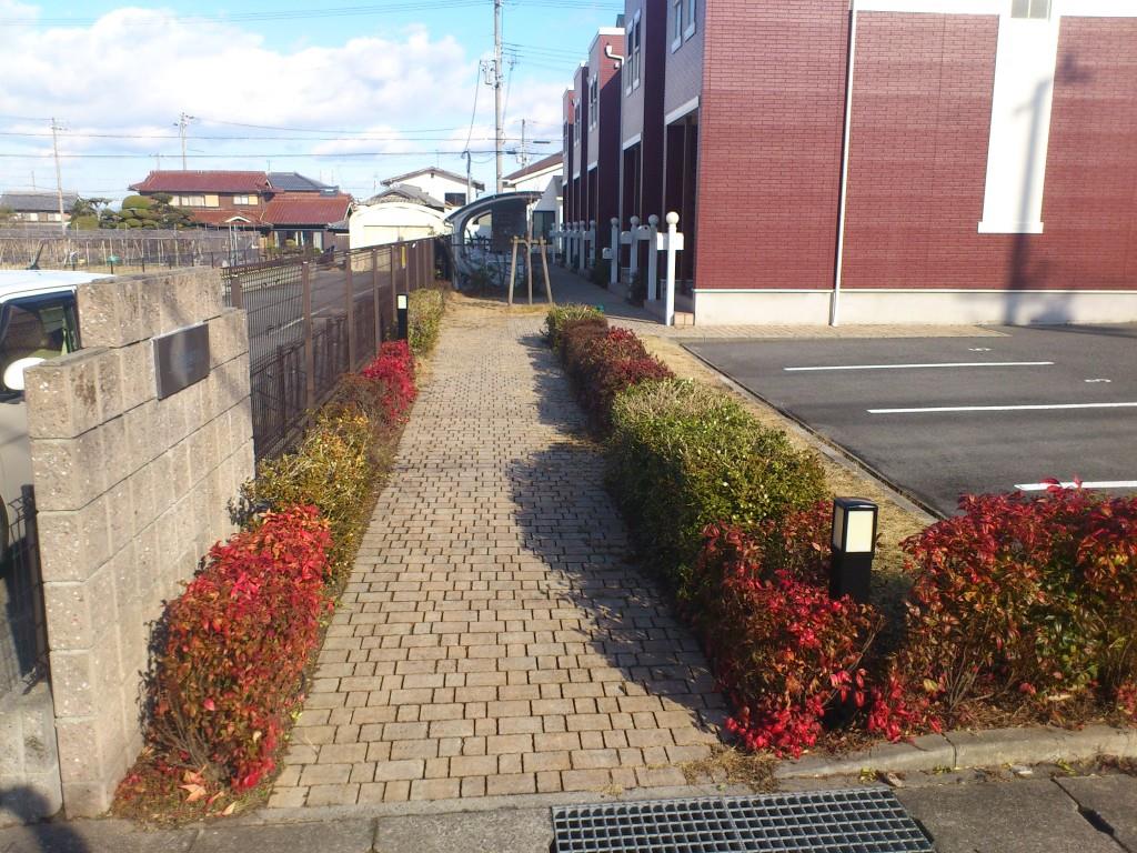 パルマリィ その他12