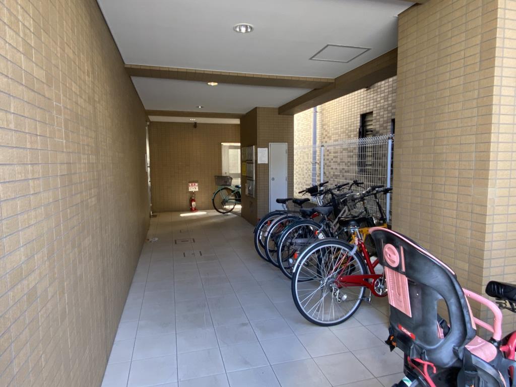 セトル オクサワ その他