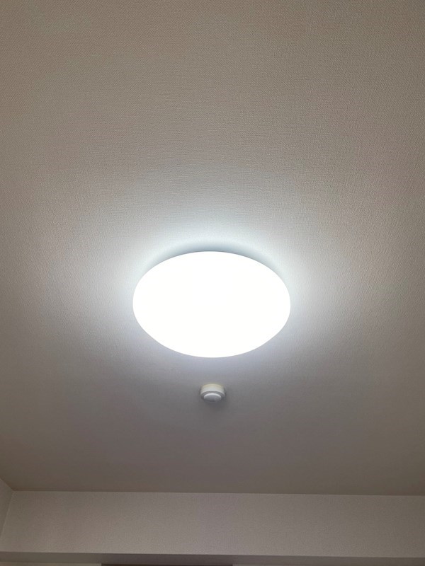 ファシルカワト その他5