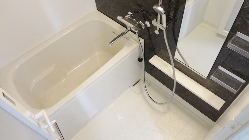 ラ ルーチェ川名 風呂画像