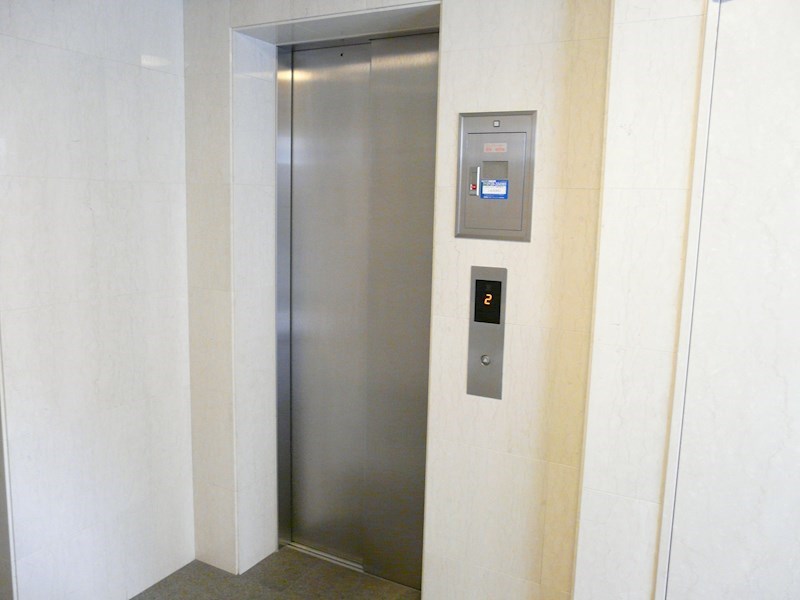 アップル その他外観4