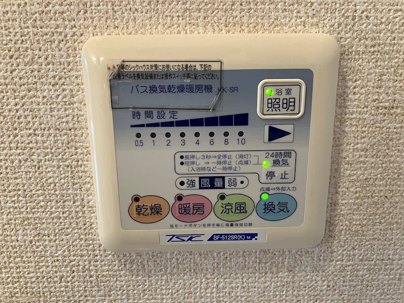 ドゥムールストレチア その他6