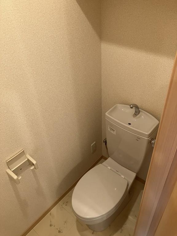 ドゥムール ストレチア その他8