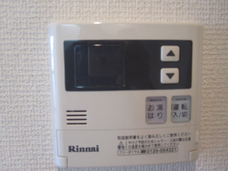 ｵｰﾗｳﾞｨｰﾇ その他4