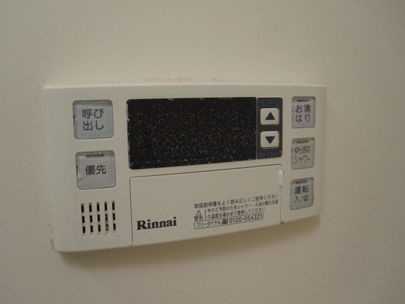 ｵｰﾗｳﾞｨｰﾇ その他6