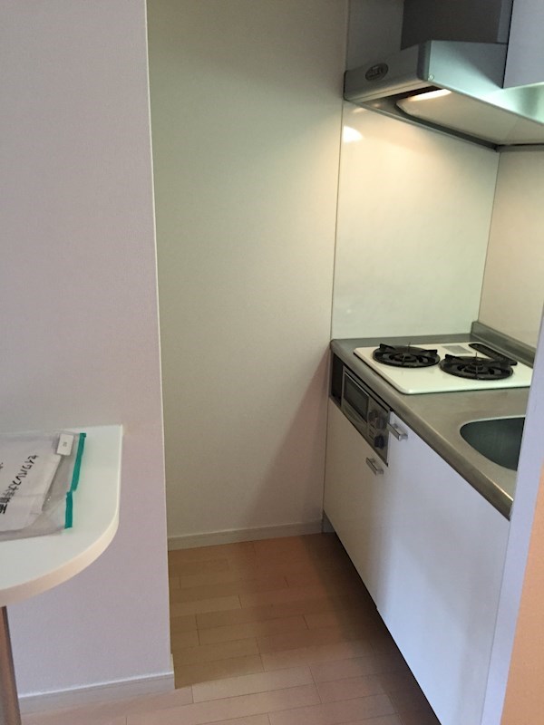 セイワパレス大手前西 その他6