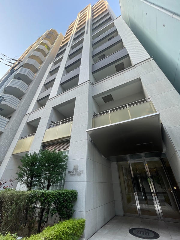 セイワパレス大手前西 その他外観2