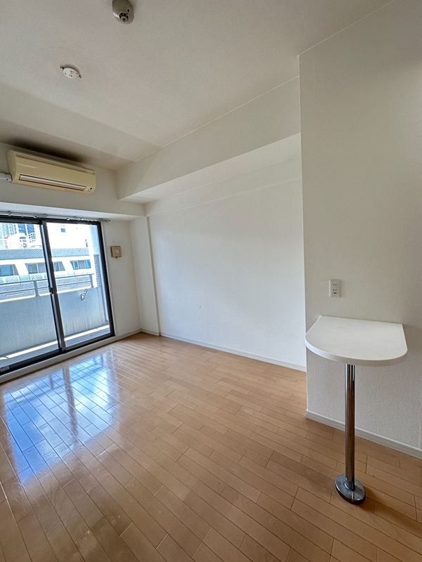 セイワパレス大手前西 その他10