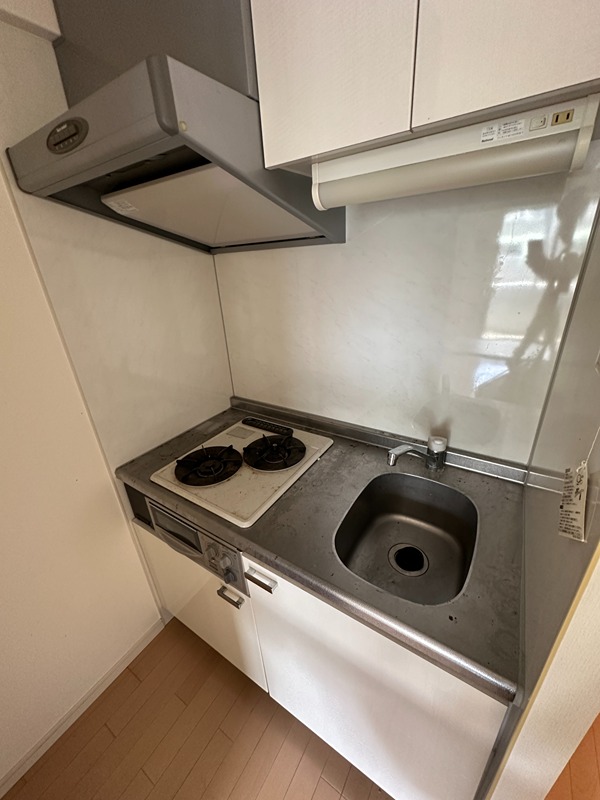 セイワパレス大手前西 その他12