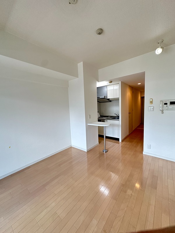 セイワパレス大手前西 その他14