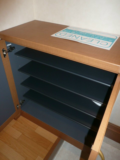ｻﾝｴｳﾞｧﾝ その他2