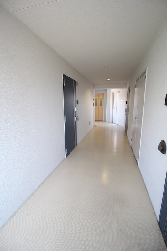 ﾌﾟﾗｲﾏﾘｨK その他外観4