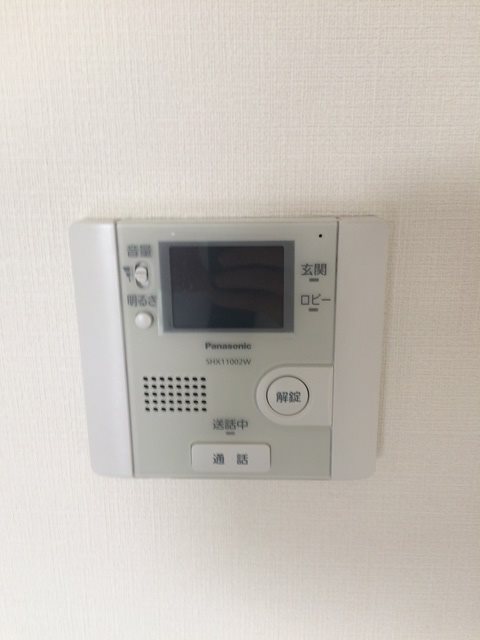 シュロスフォンコウナン その他4