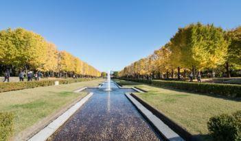 マンション星美 周辺画像4