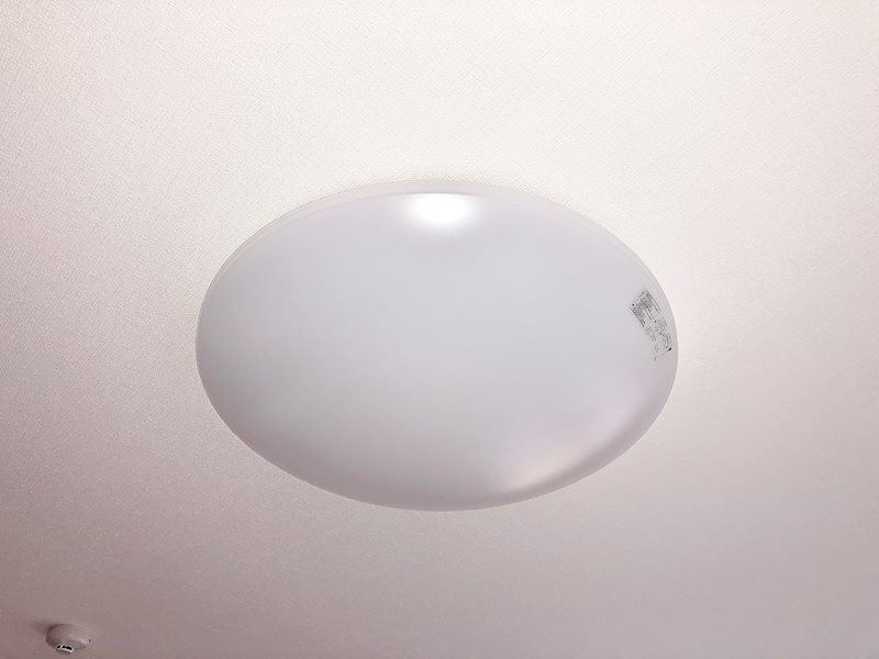 ゴールドチェリーブラッサム その他7